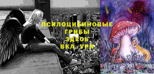 прущие крисы Абаза