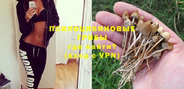 PSILOCYBIN Абдулино