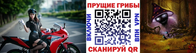 Галлюциногенные грибы MAGIC MUSHROOMS мориарти состав Фатеж купить наркотик